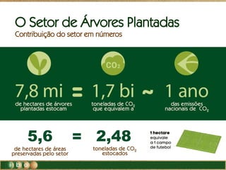 de hectares de árvores
plantadas estocam
toneladas de CO2
que equivalem a
das emissões
nacionais de CO2
de hectares de áreas
preservadas pelo setor
toneladas de CO2
estocados
5,6 2,48=
O Setor de Árvores Plantadas
Contribuição do setor em números
 