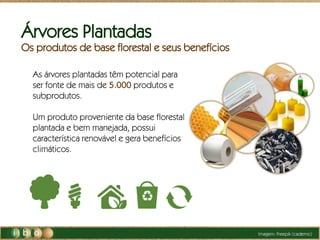Árvores Plantadas
Os produtos de base florestal e seus benefícios
As árvores plantadas têm potencial para
ser fonte de mais de 5.000 produtos e
subprodutos.
Um produto proveniente da base florestal
plantada e bem manejada, possui
característica renovável e gera benefícios
climáticos.
Imagem: Freepik (caderno)
 