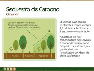 Com ciclos de plantio renováveis as
florestas plantadas mantém um estoque
médio de CO2 continuo ao longo do tempo
Sequestro de Carbono
O que é?
O setor de base florestal
atualmente é responsável por
7,8 milhões de hectares de
áreas com árvores plantadas.
A captação do gás
carbônico feito pelas árvores
é conhecida no setor como
“sequestro de carbono”, um
grande aliado na
neutralização dos Gases de
Efeito Estufa (GEE).
 