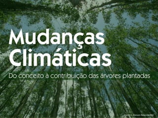 Imagem: Gleison Rezende/BSC
Mudanças
Climáticas
Do conceito à contribuição das árvores plantadas
 