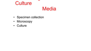Culture
Media
• Specimen collection
• Microscopy
• Culture
 
