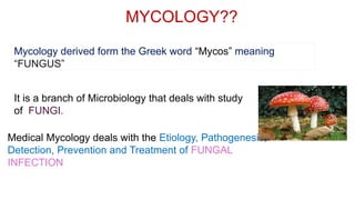 MYCOLOGY??
It is a branch of Microbiology that deals with study
of FUNGI.
Mycology derived form the Greek word “Mycos” meaning
“FUNGUS”
Medical Mycology deals with the Etiology, Pathogenesis,
Detection, Prevention and Treatment of FUNGAL
INFECTION
 