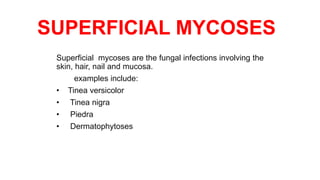 SUPERFICIAL MYCOSES
Superficial mycoses are the fungal infections involving the
skin, hair, nail and mucosa.
examples include:
• Tinea versicolor
• Tinea nigra
• Piedra
• Dermatophytoses
 