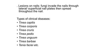. Lesions on nails: fungi invade the nails through
lateral/ superficial nail plates then spread
throughout the nail.
Types of clinical diseases:
• Tinea capitis
• Tinea corporis
• Tinea cruris
• Tinea pedis
• Tinea unguum
• Tinea barbae
• Tenia faciei etc.
 