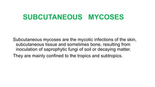 SUBCUTANEOUS MYCOSES
Subcutaneous mycoses are the mycotic infections of the skin,
subcutaneous tissue and sometimes bone, resulting from
inoculation of saprophytic fungi of soil or decaying matter.
They are mainly confined to the tropics and subtropics.
 