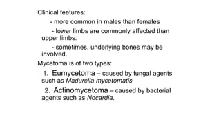 Clinical features:
- more common in males than females
- lower limbs are commonly affected than
upper limbs.
- sometimes, underlying bones may be
involved.
Mycetoma is of two types:
1. Eumycetoma – caused by fungal agents
such as Madurella mycetomatis
2. Actinomycetoma – caused by bacterial
agents such as Nocardia.
 
