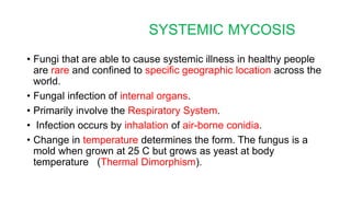 • Fungi that are able to cause systemic illness in healthy people
are rare and confined to specific geographic location across the
world.
• Fungal infection of internal organs.
• Primarily involve the Respiratory System.
• Infection occurs by inhalation of air-borne conidia.
• Change in temperature determines the form. The fungus is a
mold when grown at 25 C but grows as yeast at body
temperature (Thermal Dimorphism).
SYSTEMIC MYCOSIS
 