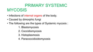 PRIMARY SYSTEMIC
MYCOSIS
• Infections of internal organs of the body.
• Caused by dimorphic fungi
• The following are the types of Systemic mycosis :
1. Blastomycosis
2. Coccidiomycosis
3. Histoplasmosis
4. Paracoccidioidomycosis
 