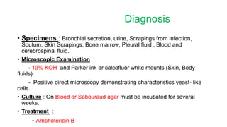 Diagnosis
• Specimens : Bronchial secretion, urine, Scrapings from infection,
Sputum, Skin Scrapings, Bone marrow, Pleural fluid , Blood and
cerebrospinal fluid.
• Microscopic Examination :
- 10% KOH and Parker ink or calcofluor white mounts.(Skin, Body
fluids).
- Positive direct microscopy demonstrating characteristics yeast- like
cells.
• Culture : On Blood or Sabouraud agar must be incubated for several
weeks.
• Treatment :
- Amphotericin B
 