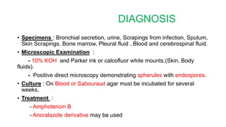 DIAGNOSIS
• Specimens : Bronchial secretion, urine, Scrapings from infection, Sputum,
Skin Scrapings, Bone marrow, Pleural fluid , Blood and cerebrospinal fluid.
• Microscopic Examination :
- 10% KOH and Parker ink or calcofluor white mounts.(Skin, Body
fluids).
- Positive direct microscopy demonstrating spherules with endospores.
• Culture : On Blood or Sabouraud agar must be incubated for several
weeks.
• Treatment :
- Amphotericin B
- Anoralazole derivative may be used
 