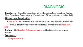 DIAGNOSIS
• Specimens : Bronchial secretion, urine, Scrapings from infection, Sputum,
Skin Scrapings, Bone marrow, Pleural fluid , Blood and cerebrospinal fluid.
• Microscopic Examination :
- 10% KOH and Parker ink or calcofluor white mounts.(Skin, Bodyfluids).
- Positive direct microscopy demonstrating characteristics yeast-like
cells.
• Culture : On Blood or Sabouraud agar must be incubated for several
weeks.
• Treatment :
- Amphotericin B
 