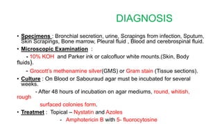 DIAGNOSIS
• Specimens : Bronchial secretion, urine, Scrapings from infection, Sputum,
Skin Scrapings, Bone marrow, Pleural fluid , Blood and cerebrospinal fluid.
• Microscopic Examination :
- 10% KOH and Parker ink or calcofluor white mounts.(Skin, Body
fluids).
- Grocott’s methenamine silver(GMS) or Gram stain (Tissue sections).
• Culture : On Blood or Sabouraud agar must be incubated for several
weeks.
- After 48 hours of incubation on agar mediums, round, whitish,
rough
surfaced colonies form.
• Treatmet : Topical – Nystatin and Azoles
- Amphotericin B with 5- fluorocytosine
 