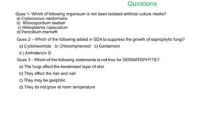 Questions
Ques 1- Which of following organisum is not been isolated artificial culture media?
a) Crytococcus neoformans
b) Rhinospordium seeberi
c) Histoplasma capsulatum
d) Penicillium marneffi
Ques 2 – Which of the following added in SDA to suppress the growth of saprophytic fungi?
a) Cycloheximide b) Chloromphenicol c) Gentamicin
d ) Amhotericin B
Ques 3 - Which of the following statements is not true for DERMATOPHYTE?
a) The fungi affect the keratinised layer of skin
b) They affect the hair and nail
c) They may be geophilic
d) They do not grow at room temperature
 