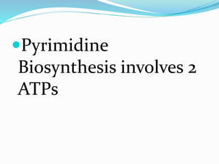 Pyrimidine
Biosynthesis involves 2
ATPs
 