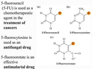 5-fluorouracil
(5-FU) is used as a
chemotherapeutic
agent in the
treatment of
cancers
5-fluorocytosine is
used as an
antifungal drug
5-fluoroorotate is an
effective
antimalarial drug
 