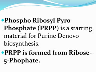 final_n.a_metabolism.pptx
