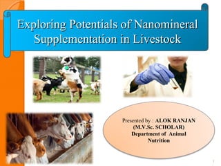 1
Exploring Potentials of NanomineralExploring Potentials of Nanomineral
Supplementation in LivestockSupplementation in Livestock
Presented by : ALOK RANJAN
(M.V.Sc. SCHOLAR)
Department of Animal
Nutrition
 