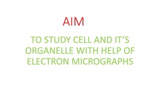 AIM
TO STUDY CELL AND IT’S
ORGANELLE WITH HELP OF
ELECTRON MICROGRAPHS
 