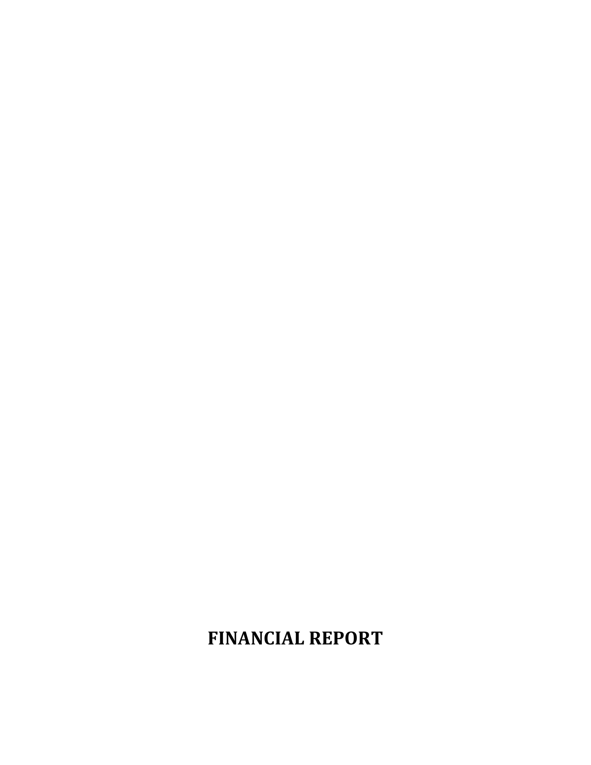 FINANCIAL REPORT

 