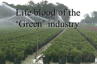 Life blood of the ‘Green’ industry 