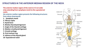 FINAL_NECK_PPT[1] lecture anatomy pdf.pdf