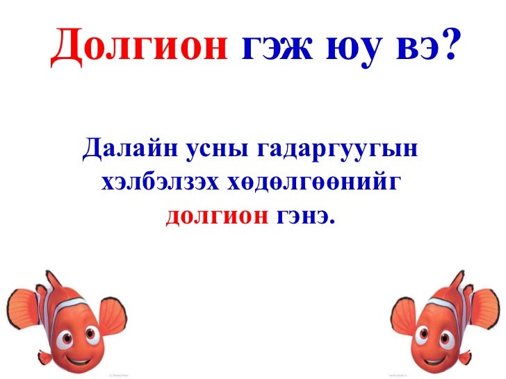 Final nemo