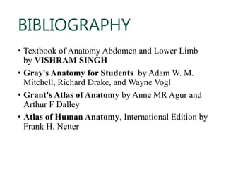 BIBLIOGRAPHY
• Textbook of Anatomy Abdomen and Lower Limb
by VISHRAM SINGH
• Gray's Anatomy for Students by Adam W. M.
Mitchell, Richard Drake, and Wayne Vogl
• Grant's Atlas of Anatomy by Anne MR Agur and
Arthur F Dalley
• Atlas of Human Anatomy, International Edition by
Frank H. Netter
 