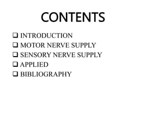 CONTENTS
 INTRODUCTION
 MOTOR NERVE SUPPLY
 SENSORY NERVE SUPPLY
 APPLIED
 BIBLIOGRAPHY
 