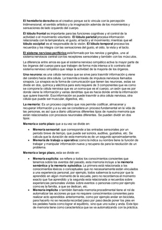 El hemisferio derecho es el creativo porque se lo vincula con la percepción
tridimensional, el sentido artístico y la imaginación además de los movimientos y
sensaciones de lado izquierdo del cuerpo.
El lóbulo frontal es importante para las funciones cognitivas y el control de la
actividad o el movimiento voluntario. El lóbulo parietal procesa información
relacionada con la temperatura, el gusto, el tacto y el movimiento; mientras que el
lóbulo occipital es el responsable de la visión. El lóbulo temporal procesa los
recuerdos y los integra con las sensaciones del gusto, el oído, la vista y el tacto.
El sistema nervioso periférico está formado por los nervios y ganglios, une al
sistema nerviosos central con los receptores sensoriales y también con los músculos.
La diferencia entre amos es que el sistema nervioso simpático activa la mayor parte de
los órganos del cuerpo para que trabajen de forma más intensa a lo contrario del
sistema nervioso simpático que relaja la actividad de la mayoría de los órganos.
Una neurona: es una célula nerviosa que se sirve para trasmitir información q viene
del cerebro hacia otra célula. La trasmite a través de impulsos nerviosos llamados
sinapsis. La sinapsis es la forma de comunicación que tienen las neuronas, estas se
divide en dos, química y eléctrica para esto requiere de 3 componentes que es como
se compone la célula nerviosa que es un soma que es el cuerpo, un axón que es por
donde viene la información y varias dendritas que es hacia donde emite la información
que quiere trasmitir. Esa información se puede trasmitir a otra célula nerviosa, otra
célula que puede ser muscular, digestiva, etc.
La memoria: Es un proceso cognitivo que nos permite codificar, almacenar y
recuperar información y a su ves se considera un proceso fundamental en la vida de
las personas, es así que a diario utilizamos diferentes tipos de nuestra memoria que
están relacionados con procesos neuronales diferentes. Se pueden dividir en dos
tipos:
Memoria a corto plazo que a su vez se divide en:
 Memoria sensorial: que corresponde a las entradas sensoriales por un
periodo breve de tiempo, que puede ser sonora, auditiva, gustativa, etc. Se
calcula que la duración de esta memoria es de un segundo aproximadamente.
 Memoria de trabajo u operativa: como la indica su nombre tiene la función de
trabajar y manipular información nueva y recupera da para la resolución de un
problema.
Memoria a largo plazo, esta se divide en:
 Memoria explicita: se refiere a todos los conocimientos consientes que
tenemos sobre los eventos del pasado, esta memoria incluye a la memoria
semántica y la memoria episódica. La primera está relacionada a los
conocimientos léxicos o conceptuales que no necesariamente están vinculados
a una experiencia personal, por ejemplo, todos sabemos la suma por que la
aprendido en algún momento de la escuela, pero no recordamos el momento
exacto que fue aprendido y la segunda esta relacionada a recuerdos sobre
experiencias personales vividas sobre eventos o personas como por ejemplo
como es la familia, a que se dedican, etc.
 Memoria implícita o también llamada memoria procedimental tiene el rol de
automatizar las acciones ya que no requiere conocimientos consientes para
realizar acto aprendidos anteriormente, como por ejemplo andar en bicicleta,
para hacerlo no se necesita recordad paso por paso desde poner los pies en
los pedales hasta como lograr el equilibrio, sino que uno sube y anda. Este tipo
de memoria tiene como característica que se va automatizando con la práctica.
 
