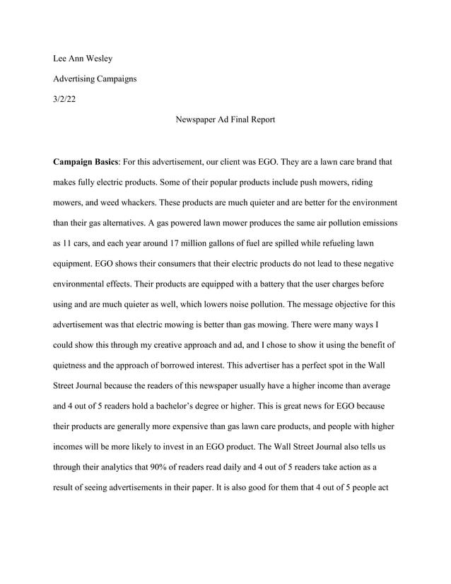 Final Newspaper Ad Report PDF