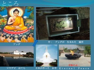 チタワン　国立　公園つのが　いっぽんの　さいとら