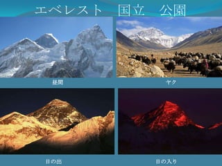 せいかつティカ　ザマラぶっきょうの人　　　のうぎょういなかの家ダンス食べ物：ダールバート