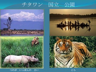 エベレスト　国立　公園昼間ヤク日の出日の入り