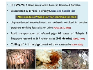 • In 1997-98: >10mn acres forest burnt in Borneo & Sumatra
• Exacerbated by El‟Nino  drought, haze and habitat loss
• Unprecedented encroachment on orchards resulted in porcine
exposure to flying fox saliva or urine (Chua et al., 2002)
• Rapid transportation of infected pigs- 05 states of Malaysia &
Singapore resulted in 265 human cases (105 deaths) (CDC, 1999)
• Culling of > 1 mn pigs contained the catastrophe (Lam, 2003)
Mass exodus of “flying fox” for searching for food
 