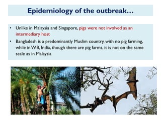 Epidemiology of the outbreak…
• Unlike in Malaysia and Singapore, pigs were not involved as an
intermediary host
• Bangladesh is a predominantly Muslim country, with no pig farming,
while in W.B, India, though there are pig farms, it is not on the same
scale as in Malaysia
 