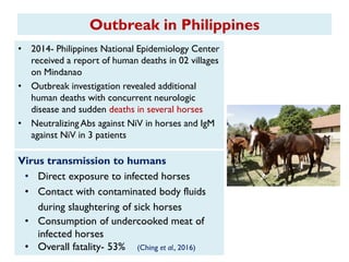 Outbreak in Philippines
• 2014- Philippines National Epidemiology Center
received a report of human deaths in 02 villages
on Mindanao
• Outbreak investigation revealed additional
human deaths with concurrent neurologic
disease and sudden deaths in several horses
• Neutralizing Abs against NiV in horses and IgM
against NiV in 3 patients
Virus transmission to humans
• Direct exposure to infected horses
• Contact with contaminated body fluids
during slaughtering of sick horses
• Consumption of undercooked meat of
infected horses
• Overall fatality- 53% (Ching et al., 2016)
 