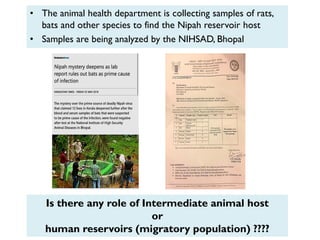 • The animal health department is collecting samples of rats,
bats and other species to find the Nipah reservoir host
• Samples are being analyzed by the NIHSAD, Bhopal
Is there any role of Intermediate animal host
or
human reservoirs (migratory population) ????
 