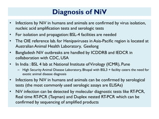 Diagnosis of NiV
• Infections by NiV in humans and animals are confirmed by virus isolation,
nucleic acid amplification tests and serologic tests
• For isolation and propagation: BSL-4 facilities are needed
• The OIE reference lab. for Henipaviruses in Asia-Pacific region is located at
Australian Animal Health Laboratory, Geelong
• Bangladesh NiV outbreaks are handled by ICDDRB and IEDCR in
collaboration with CDC, USA
• In India : BSL 4 lab at National Institute ofVirology (ICMR), Pune
– High Security Animal Disease Laboratory, Bhopal with BSL3 + facility caters the need for
exotic animal disease diagnosis
• Infections by NiV in humans and animals can be confirmed by serological
tests (the most commonly used serologic assays are ELISAs)
• NiV infection can be detected by molecular diagnostic tests like RT-PCR,
Real time RT-PCR (Taqman) and Duplex nested RT-PCR which can be
confirmed by sequencing of amplified products
 
