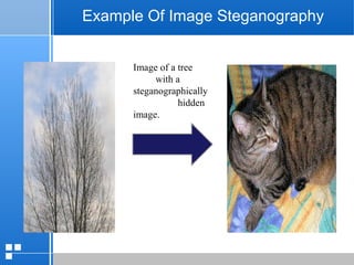 page 3712/10/07 Presentation
Example Of Image Steganography
Image of a tree
with a
steganographically
hidden
image.
 