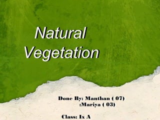 Natural
Vegetation
Done By: Manthan ( 07)
:Mariya ( 03)
Class: Ix A
Done By: Manthan ( 07)
:Mariya ( 03)
Class: Ix A
Natural
Vegetation
 