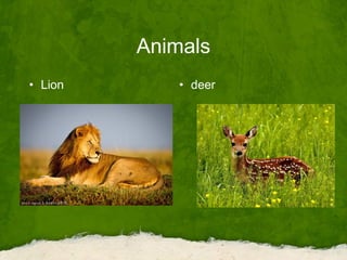 Animals
• Lion • deer
 