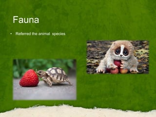 Fauna
• Referred the animal species
 