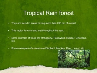 Tropical Rain forest
• They are found in areas having more than 200 cm of rainfall.
• This region is warm and wet throughout the year.
• some example of trees are Mahogany, Rosewood, Rubber, Cinchona,
etc.
• Some examples of animals are Elephant, Monkey, Deer, Lemur, etc.
 