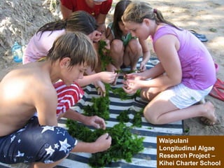 Waipulani
Longitudinal Algae
Research Project –
Kihei Charter School
 