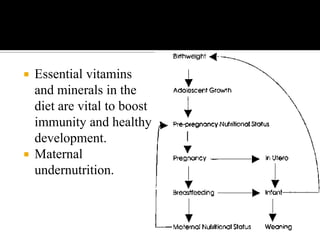 Essential vitamins
and minerals in the
diet are vital to boost
immunity and healthy
development.
 Maternal
undernutrition.
 
