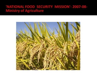 national nutritional programme