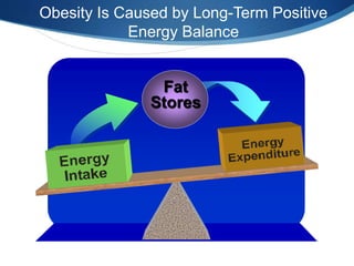 Obesity Is Caused by Long-Term Positive
Energy Balance
Fat
Stores
 