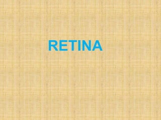 RETINA
 