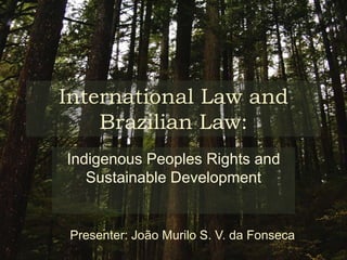 International Law and Brazilian Law: Indigenous Peoples Rights and Sustainable Development Presenter: João Murilo S. V. da Fonseca 