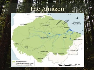 The AmazonTerminology Clarifications:The Amazonia rainforestRepresent an area greater than the scope of this researchThe Amazônia LegalMain scenario of this researchLocated in the Northern Region of Brazil The State of Amazonas Relevant for the purposes of this research because it is one of the states that comprises the Amazonia Legal  